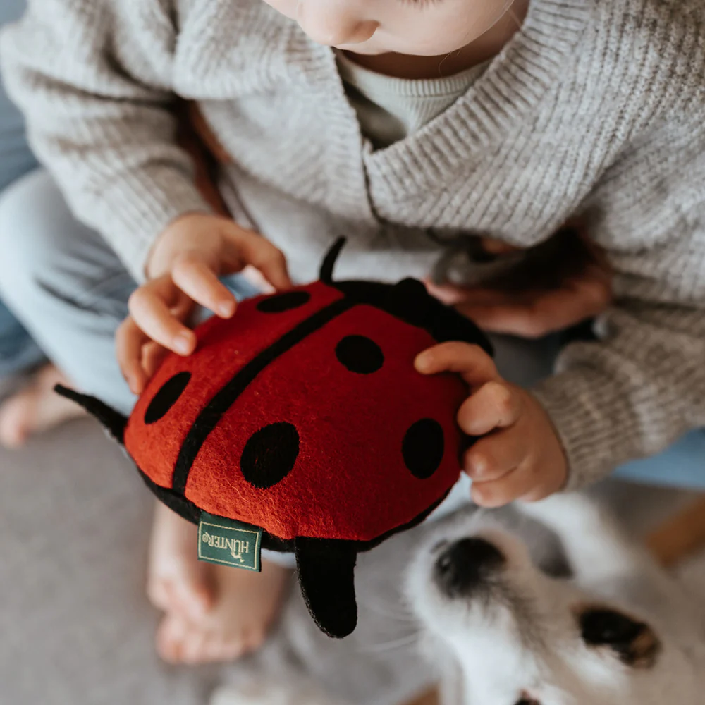 Παιχνίδι σκύλου HUNTER Florenz Marienkafer - Image 4