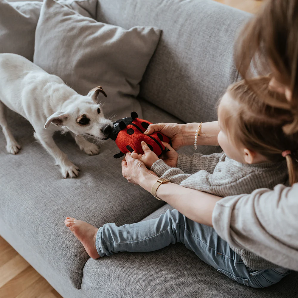 Παιχνίδι σκύλου HUNTER Florenz Marienkafer - Image 5