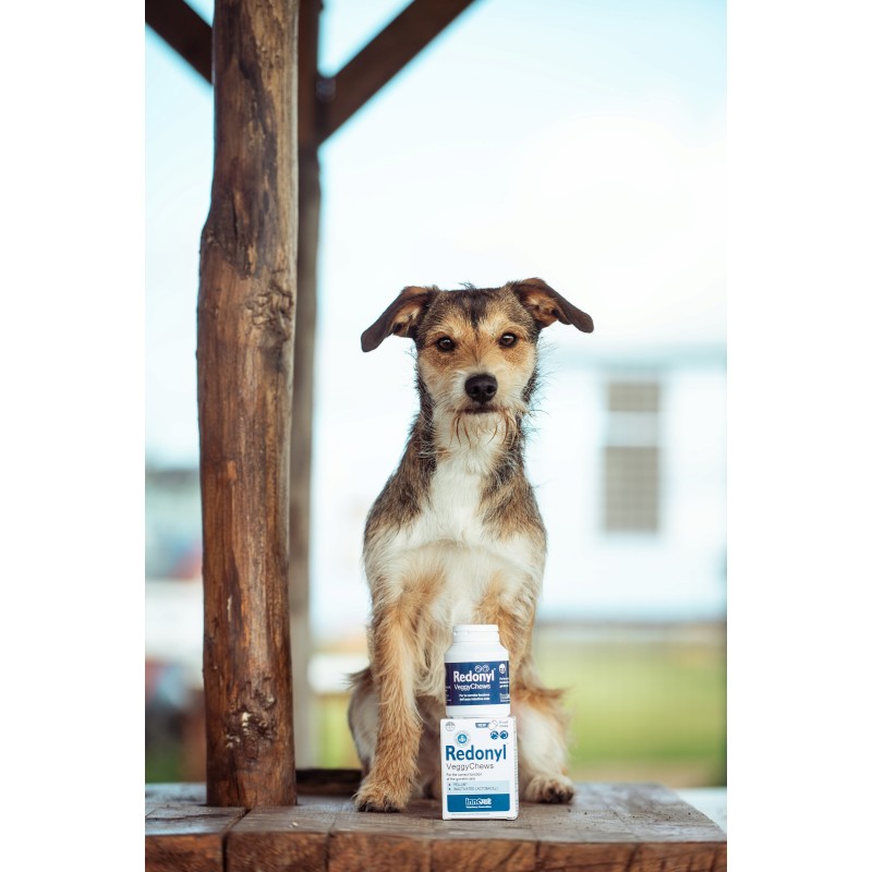 Υποαλλεργικές λιχουδιές για το δέρμα σκύλου και γάτας INNOVET REDONYL Veggy chews - Image 3