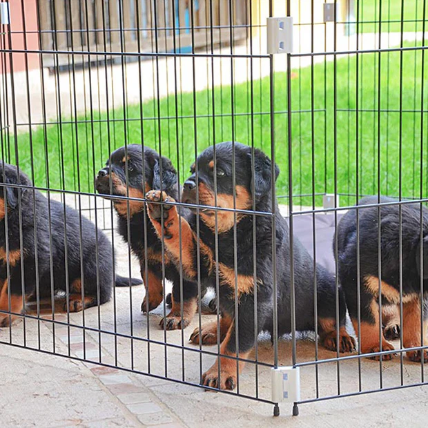 Πάρκο εκπαίδευσης σκύλων FERPLAST Dog training - Image 6