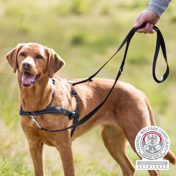Σαμαράκι εκπαίδευσης σκύλου TRIXIE Lead 'n ' walk basic