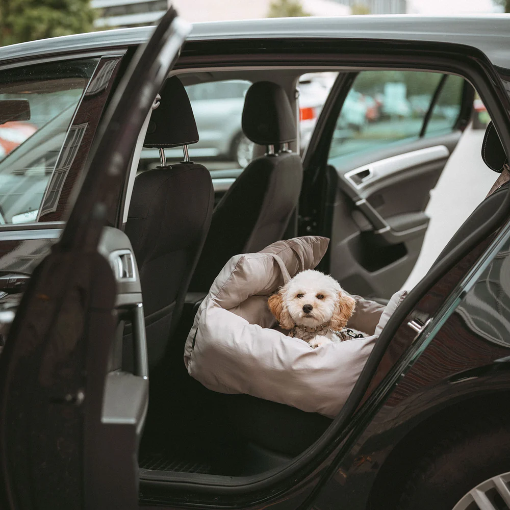 Κάθισμα αυτοκινήτου HUNTER Seoul 2in1 car seat - Image 8