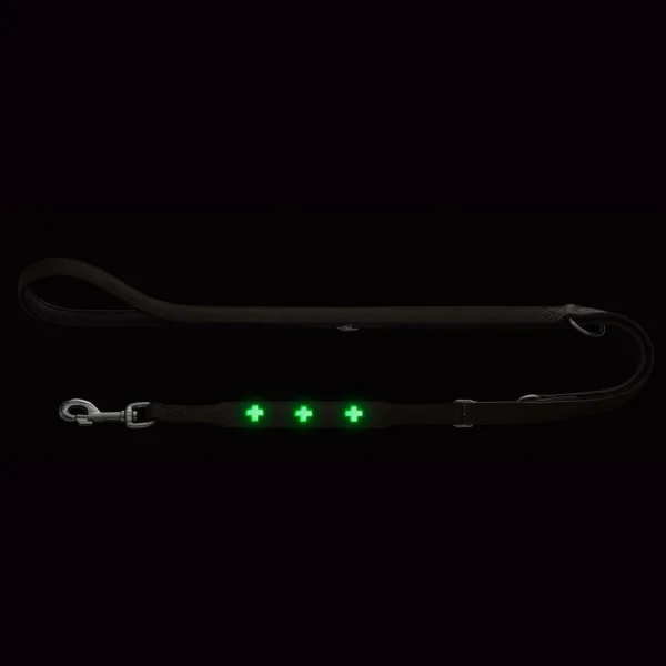 Δερμάτινος εκπαιδευτικός οδηγός HUNTER Swiss glow