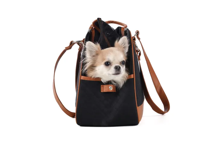 Τσάντα μεταφοράς FLAMINGO Paddie bag - Image 3